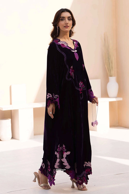 Violet Orchid